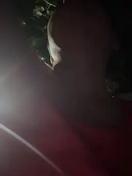 evaxxxcurvyxxx live