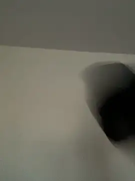 Selene__Ferrer live