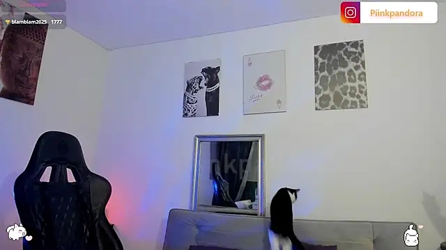 Piinkpandora live