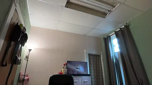 Pumpkin_bunny live