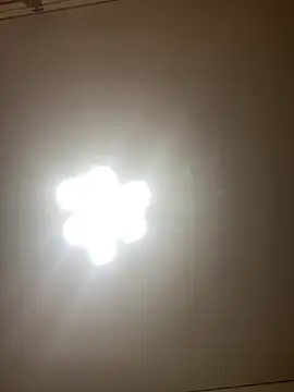 Janet_Welder live