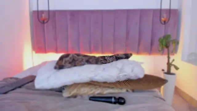 emmiily_z live