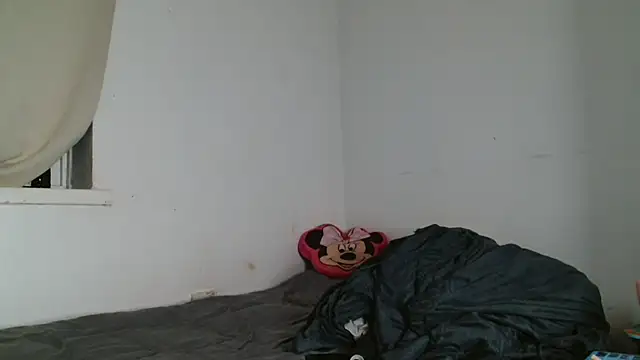 CurvySashia live