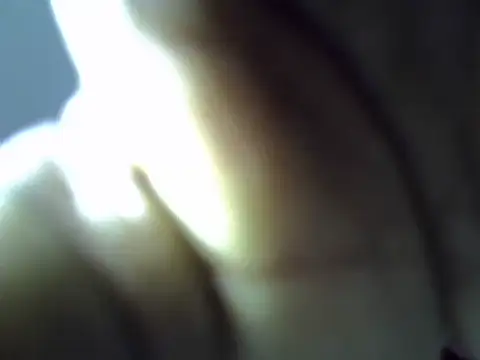 cutiebreey live