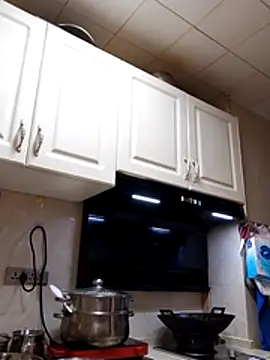Jennie_dogy live