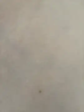 Blondygirl1 live