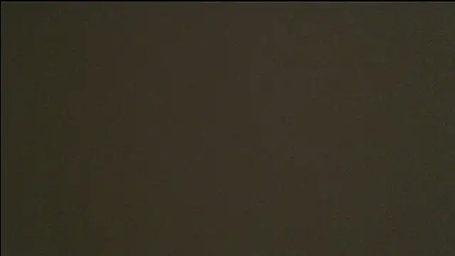 AnyEvyy live