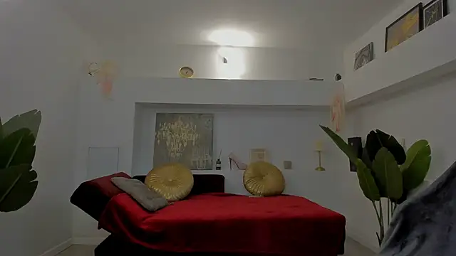 Nicolle_Lexy live