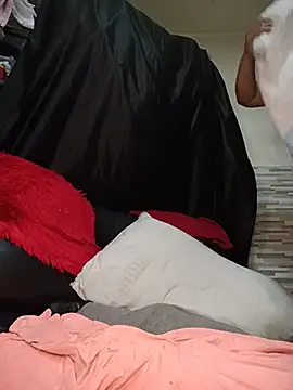 AvaChannel live