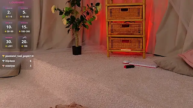 Aurora_Paradise live