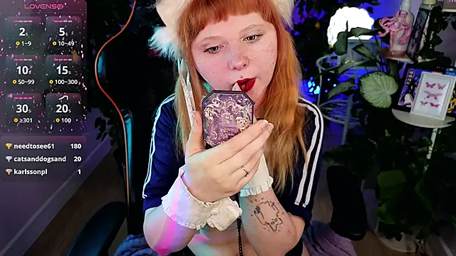 usagi_sasagi live