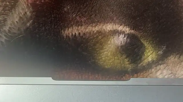 Soaponarope007 live