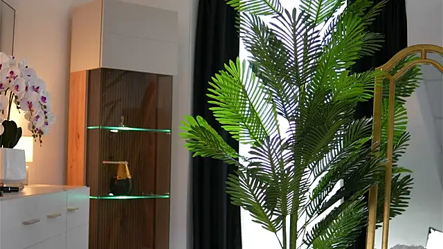 ZenyaNoir live
