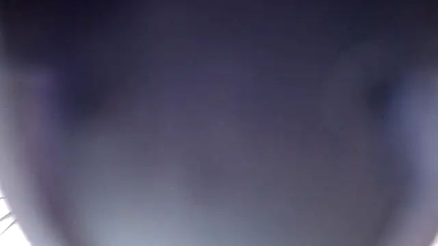 ReginaRossa live
