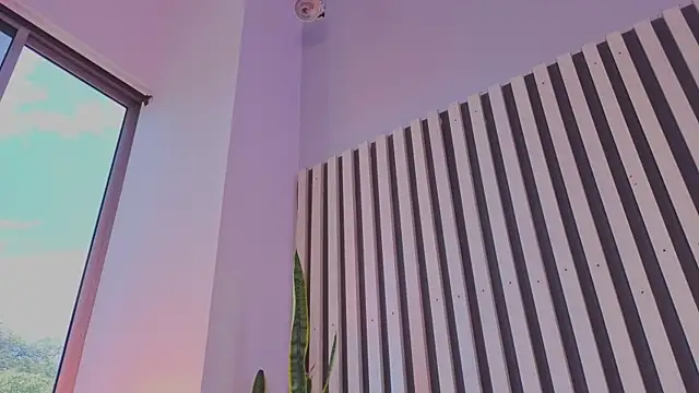 Ariana_klarts live