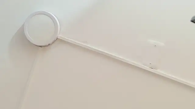 LexiSmile live