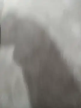 Pussyshow69 live