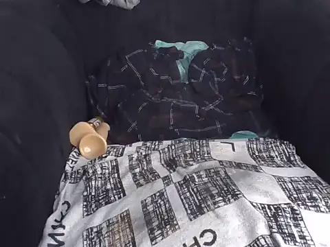 Aurora_lightz_1 live