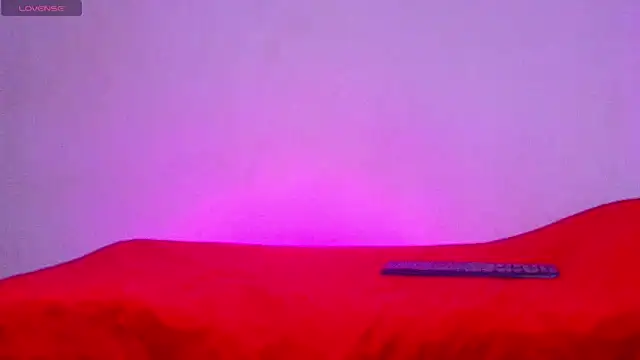 canela_salvaje live