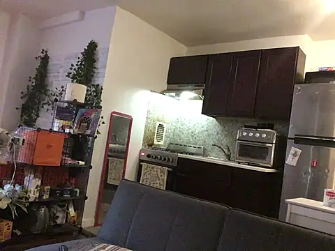 littyleesh1 live