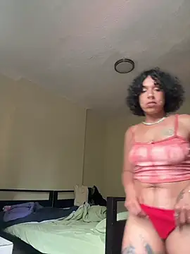 DominicanJojo live