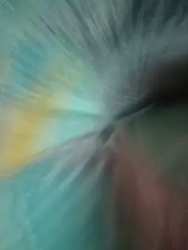 Giselabrunette25 live