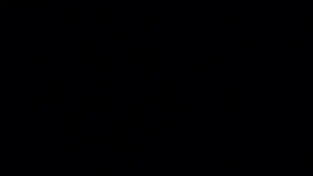LonnieBamba profile