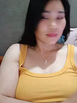 Bear-bear0 live