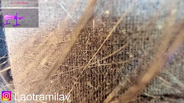MilaVelour live