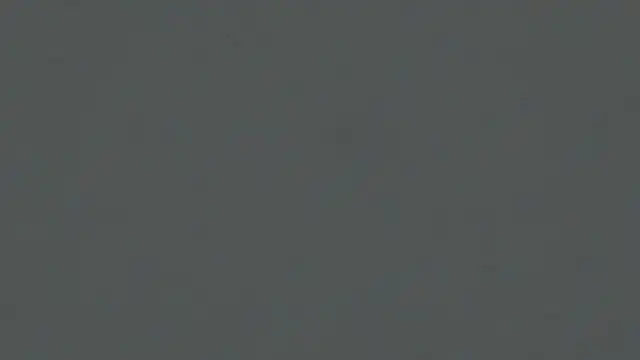 KasiReitan live