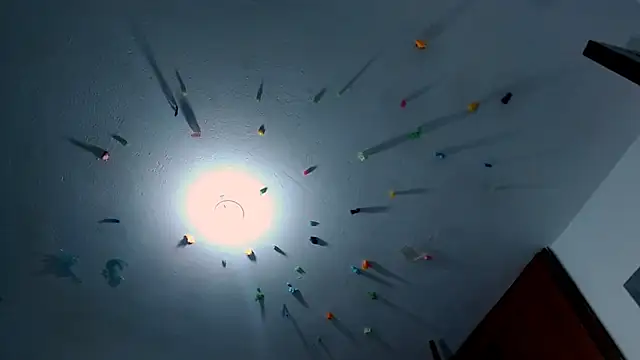 Van3orgasm4me live