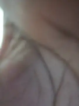mem254 live