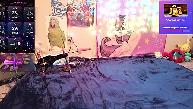 BabyZelda live