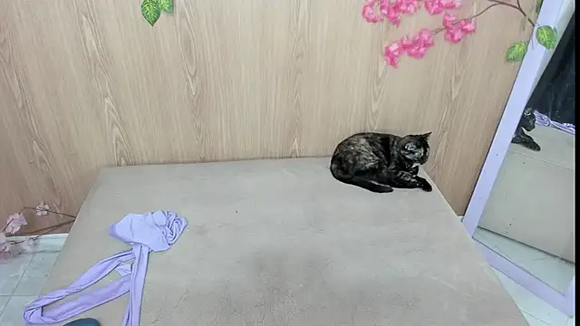 jenelotizz06 live