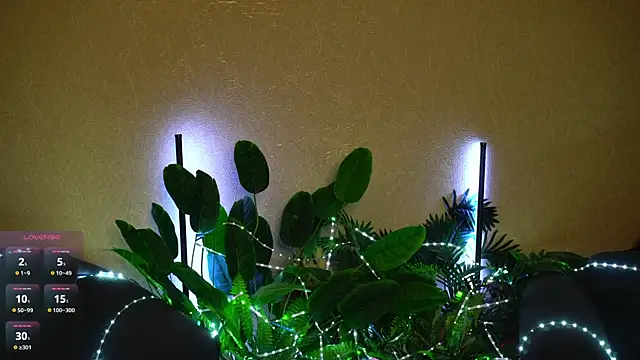 Viola_Becker live