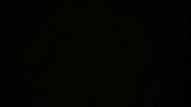 BROsister live