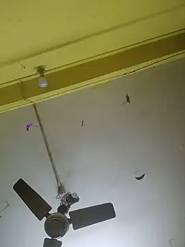 Princessroooh live
