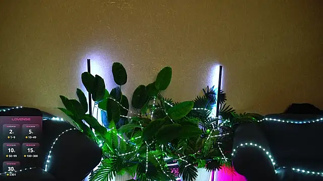 Viola_Becker live