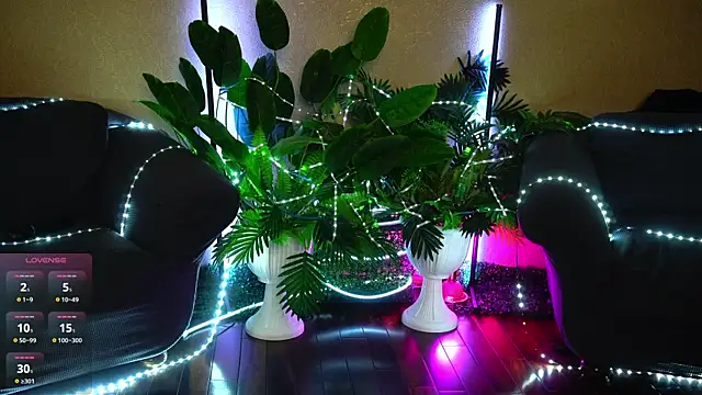 Viola_Becker live