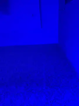 Leeving_kiara live
