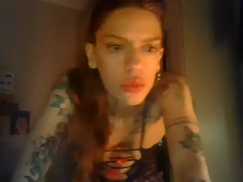 plsmecha live