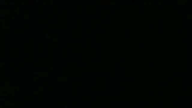 tinny_emiily live