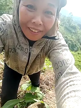 Chin-ni live