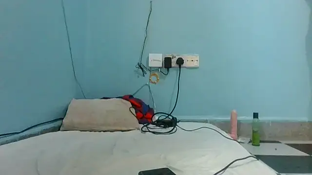 Cozybear live