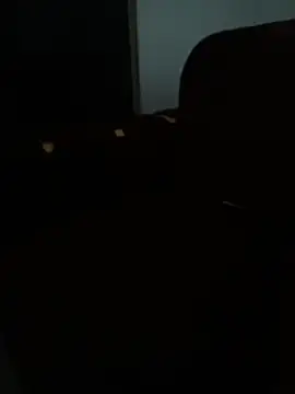 Pure_Damsel live