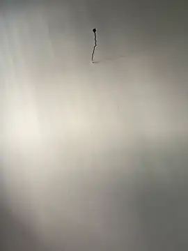 divaa69sexx live