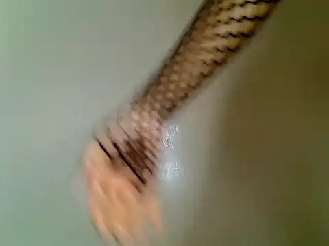 Sexy_bella6 live