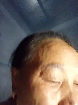 lylylai live