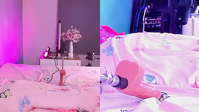 perla_cm live