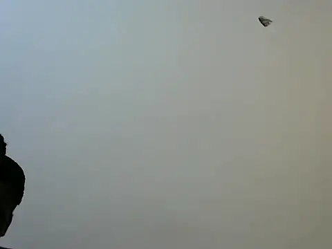 Curvy_lizy live